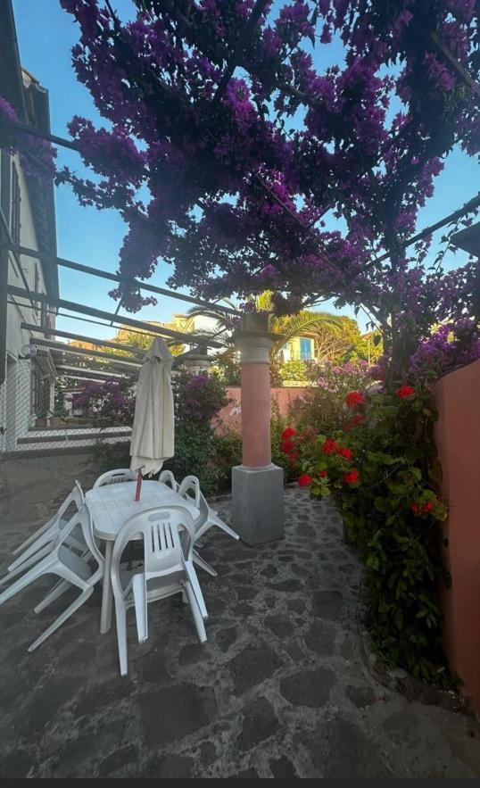 Villa Maison Des Amis à Île de Île de Capraia Extérieur photo